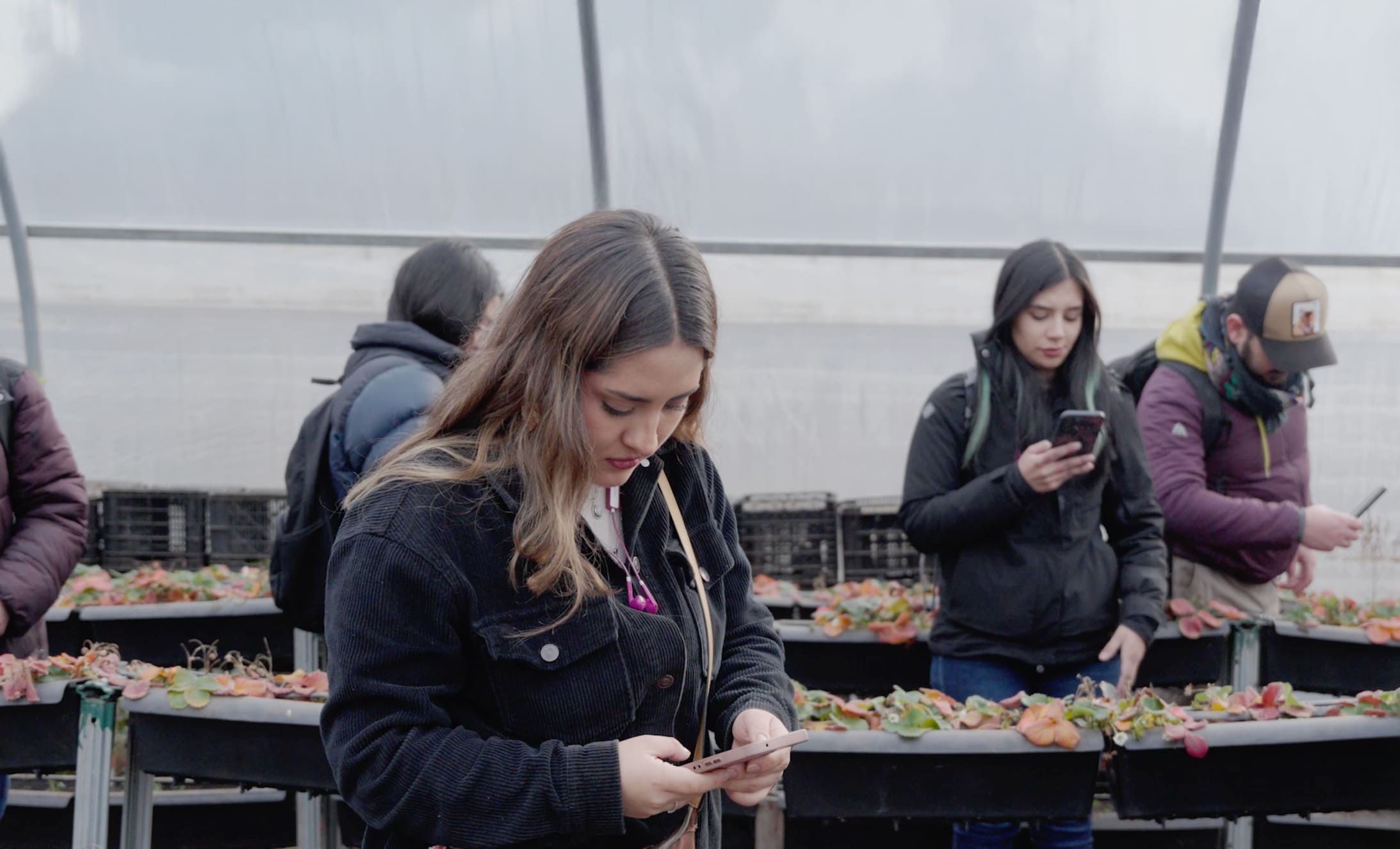 Estudiantes de Ingeniería Comercial de la UAysén reflexionan sobre soberanía alimentaria en visita a emprendimiento local