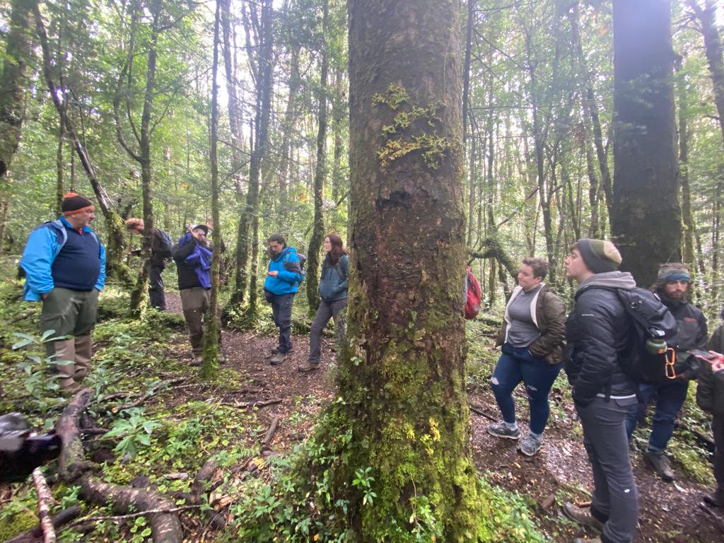 Estudiantes de la UAysén se alistan  para recorrer los bosques del noroeste de Estados Unidos