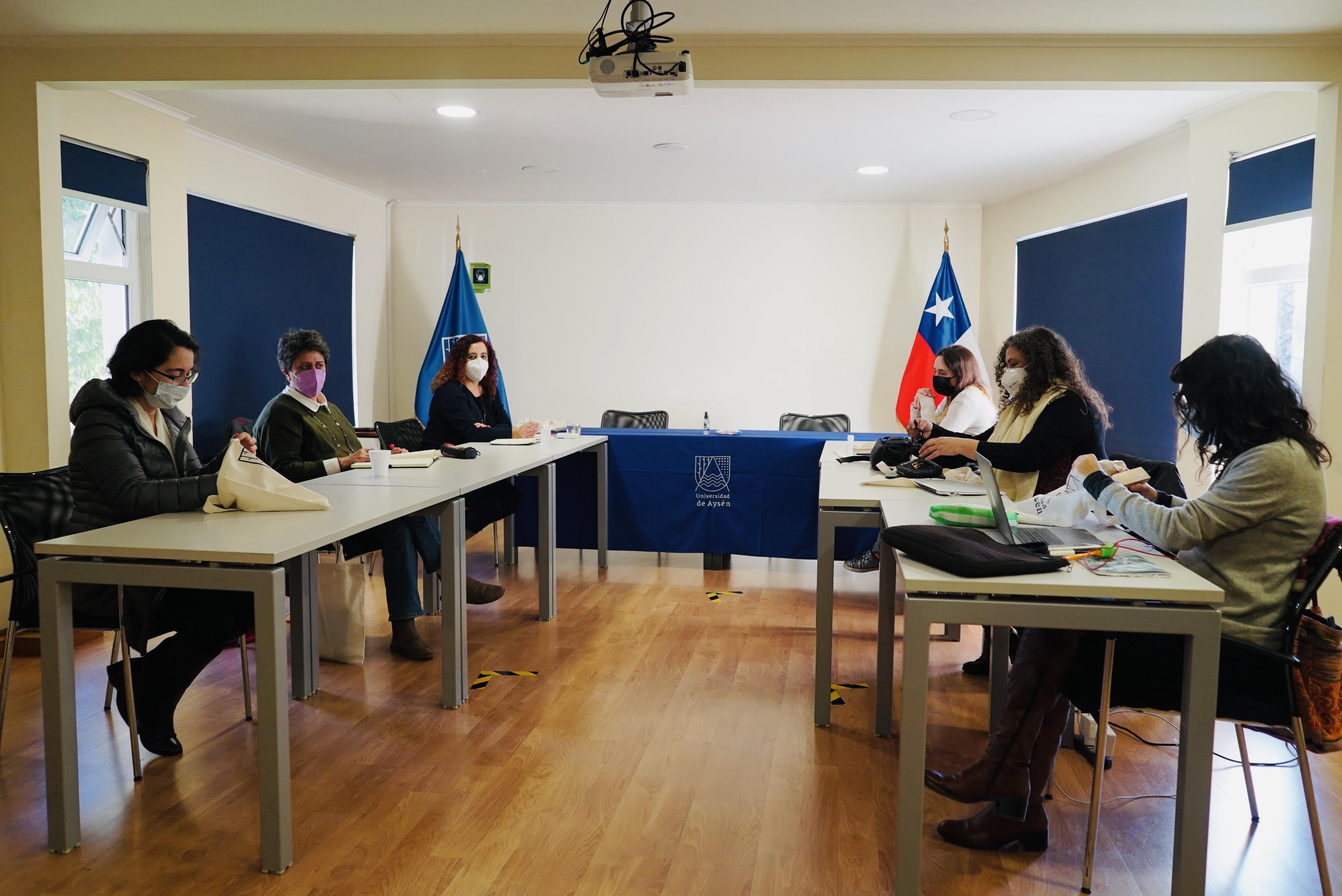 Comité Ejecutivo de la Comisión de Igualdad de Género del CRUCH sesiona por primera vez en la UAysén
