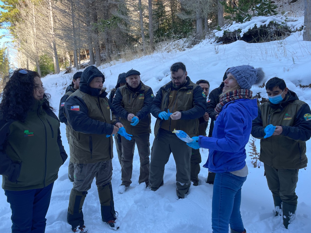 Dra. Vanhaecke capacitó a guardaparques Conaf en monitoreo de especies invasoras a través de ADN ambiental 