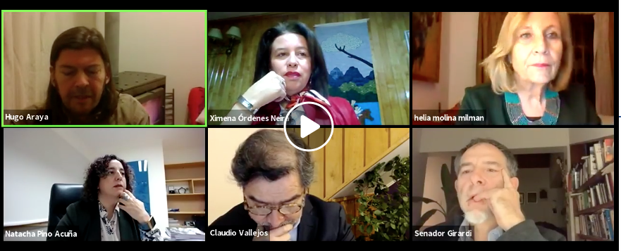 Rectora Natacha Pino participó de primera versión de “Diálogos Aysén 2020: una mirada hacia el futuro”