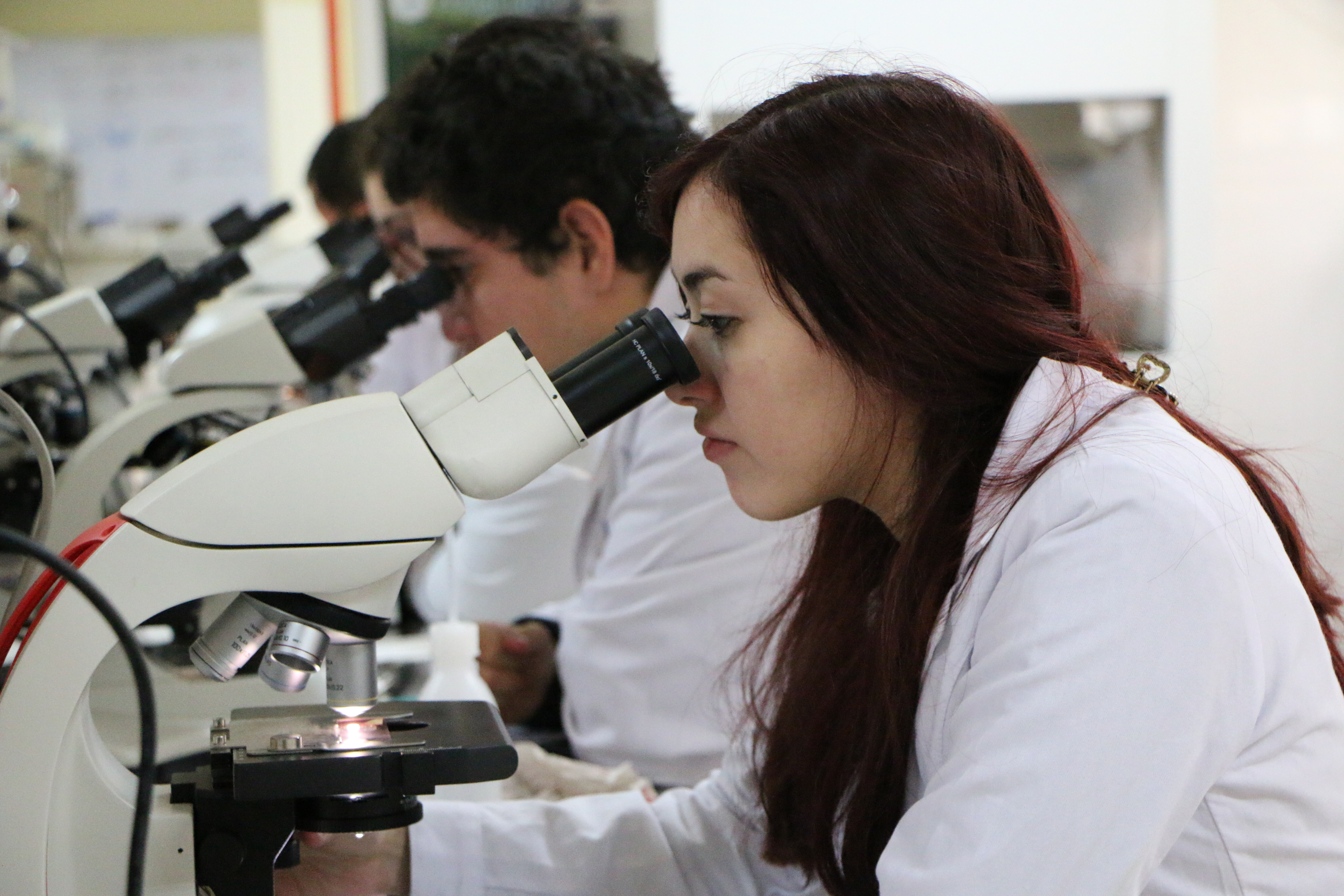 Universidad de Aysén se integra a Proyecto Erasmus + que busca  fortalecer la gestión de la investigación universitaria