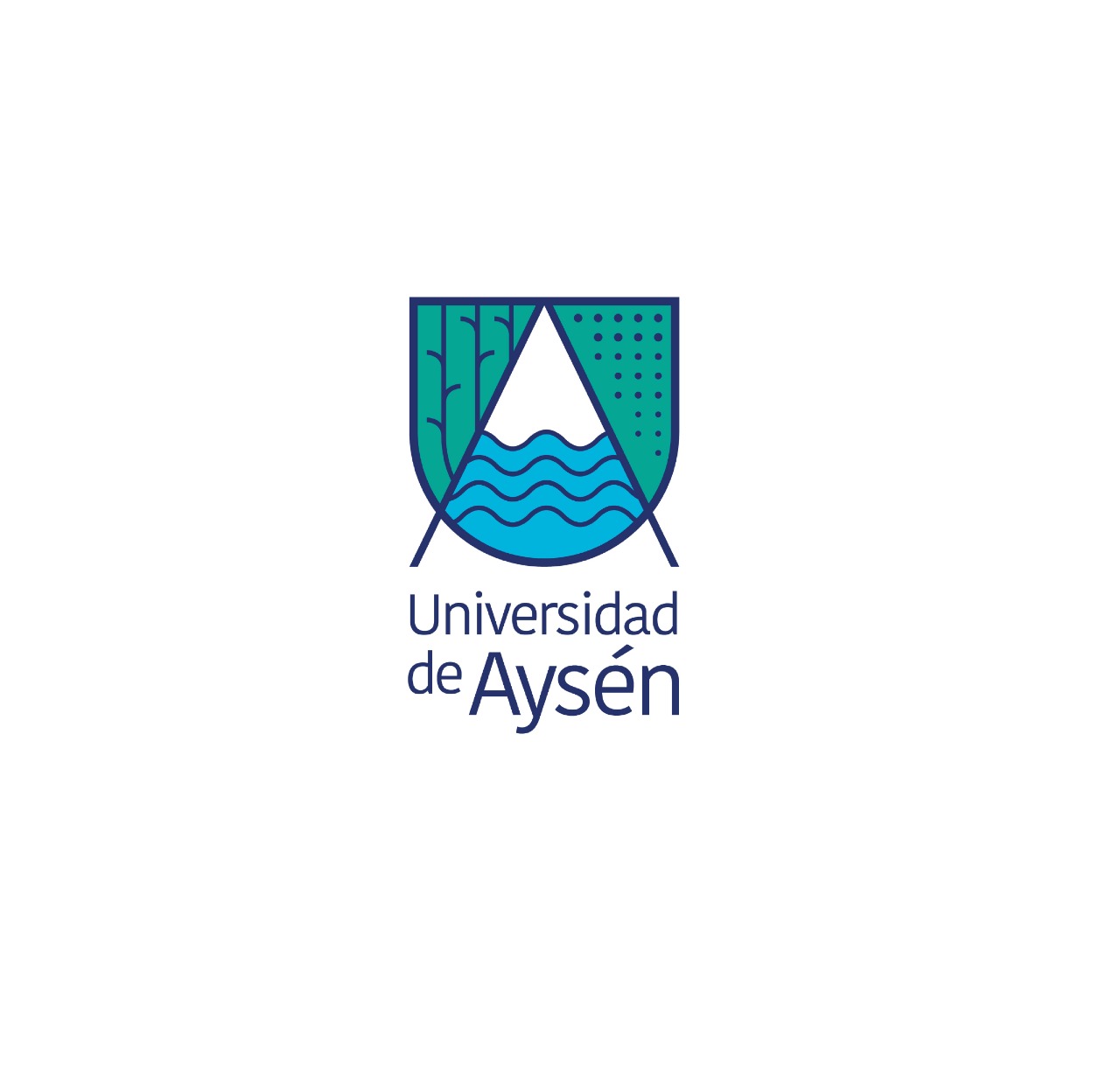 Declaración Pública Universidad de Aysén
