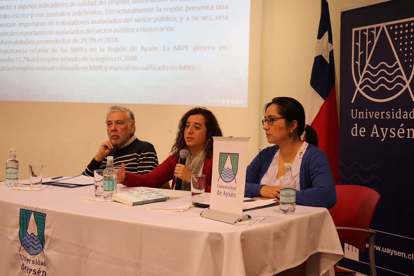 Universidad de Aysén e Instituto Nacional de Estadísticas realizan seminario para analizar el mercado laboral de la región