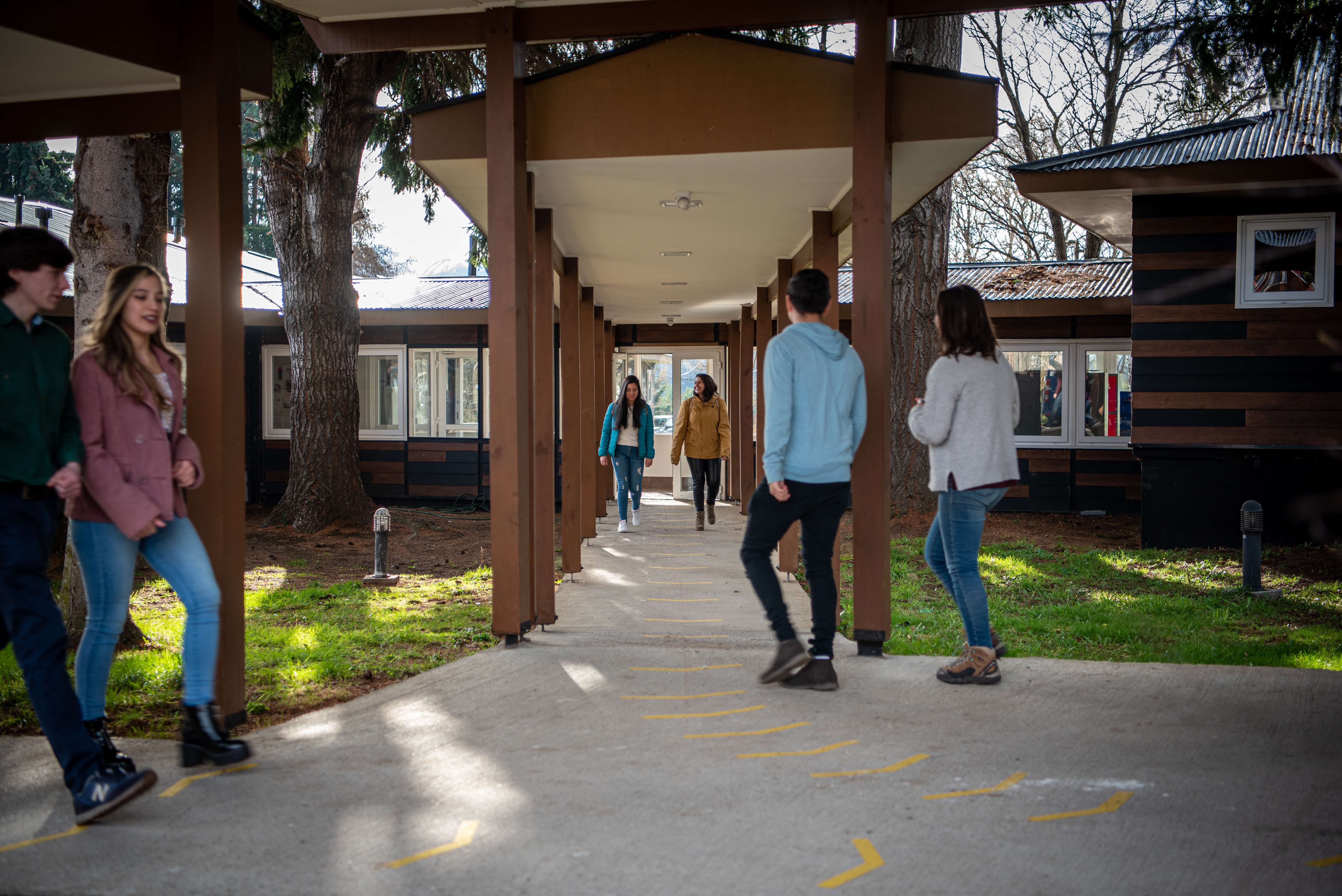 Dos candidaturas se disputarán rectoría de la Universidad de Aysén